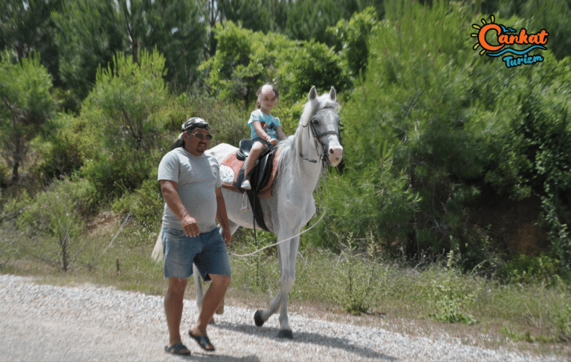 Horse Trip - A Trip In Nature